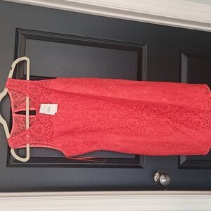 NWT JCrew Women's sleeveless, lined lace dress size 4